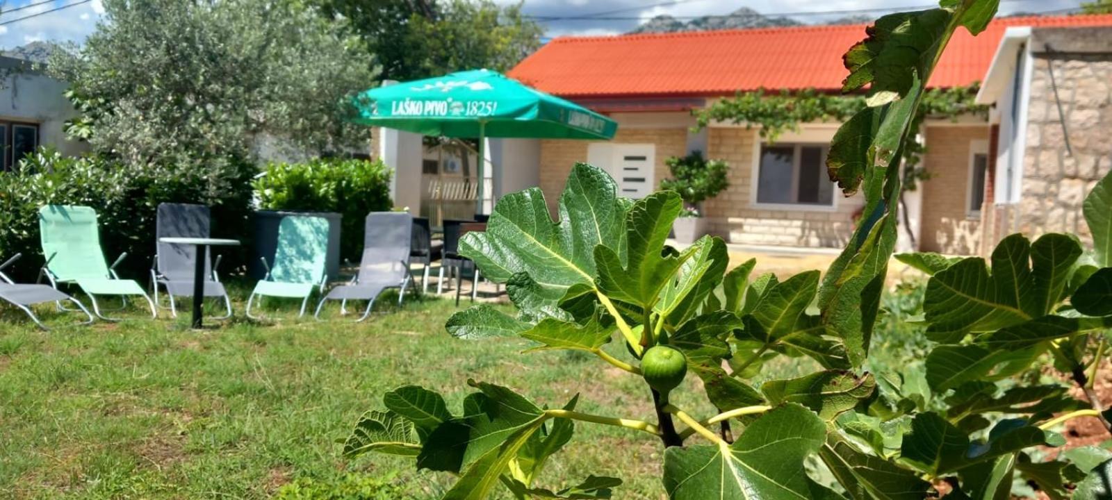 Holiday Home Zeljko,Marija & Jakov Stari Grad Kültér fotó
